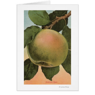 FruktChromo Lithograph av Newtown Pippen Hälsningskort