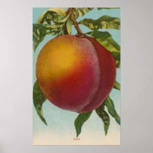 FruktChromo Lithograph av PeachFruitState Poster