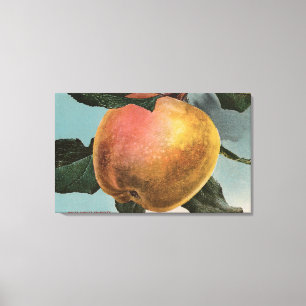 FruktChromo Lithograph av vitvintern Pearmain Canvastryck