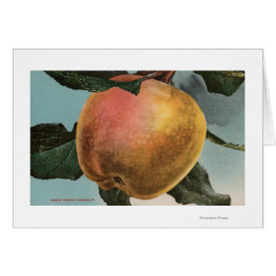 FruktChromo Lithograph av vitvintern Pearmain Hälsningskort