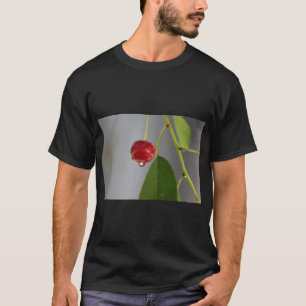 Fruktdropp Stänk Art T Shirt