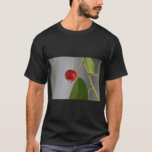Fruktdropp Stänk Art T Shirt (Framsida)