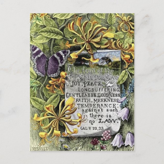 Frukten av anden vykort (Framsida)