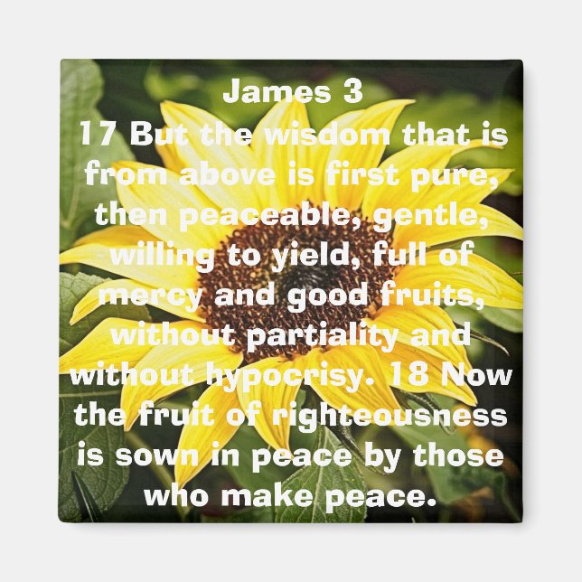 frukten av den rättfärdighet, bibeln versalsolrosa magnet (Framsidan)