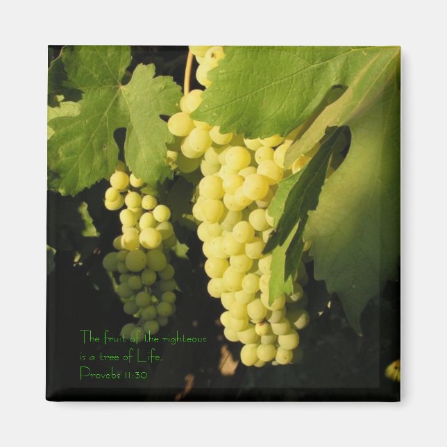 Frukten av det rättfärdiga är en träd av... magnet (Framsidan)