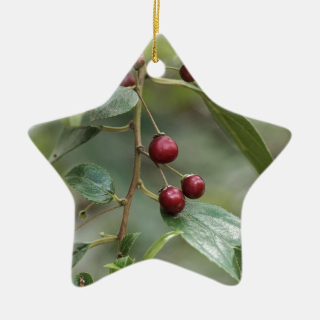 Frukter av en skina lövbuckthorn julgransprydnad keramik (Framsidan)