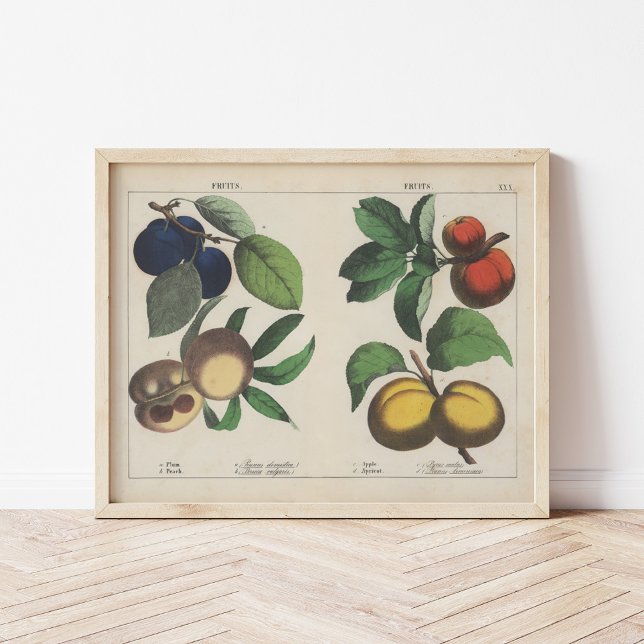 Frukter | Charlotte Mary Yonge Poster (Skapare uppladdad)