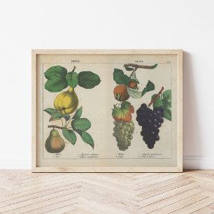 Frukter   Charlotte Mary Yonge Poster