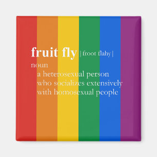 FRUKTFLUGA MAGNET