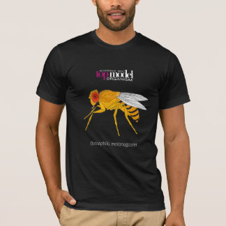 Fruktfluga T-shirt