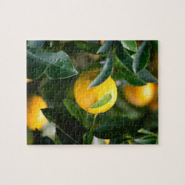 Fruktfotografi av Lemon Träd Pussel