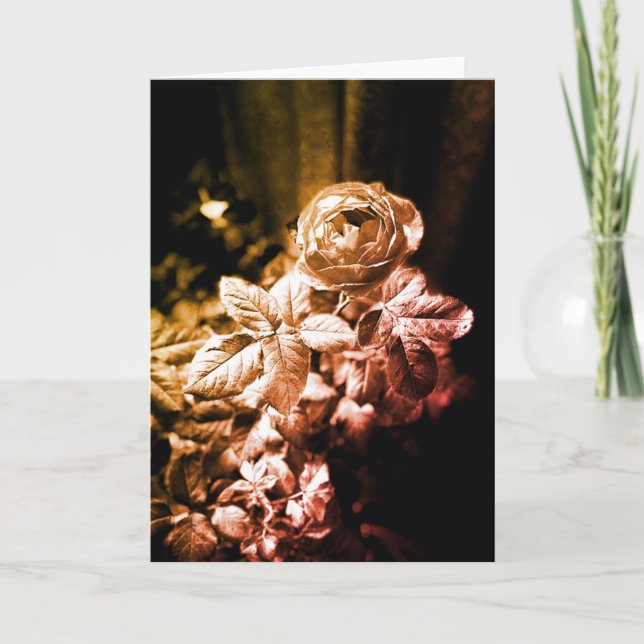 Fruktiga parfuma Ro - Tack för ditt kort (Framsida)