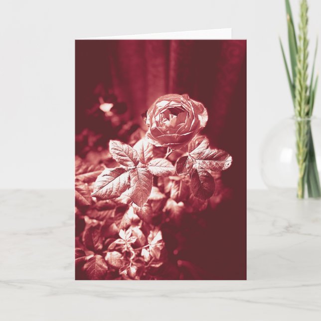 Fruktiga parfuma Ro - Tack för ditt kort (Framsida)