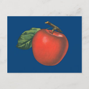 Fruktillustration för äppelvintage vykort