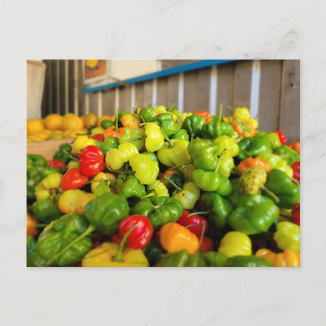 Fruktkorg Aji Dulce Vykort (Framsida)