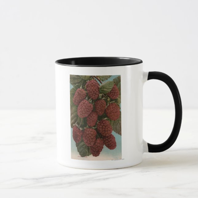 Fruktkromolitografi för loganbärState Mugg (Höger)