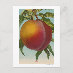 Fruktkromolitografi för PeachFruitState Vykort