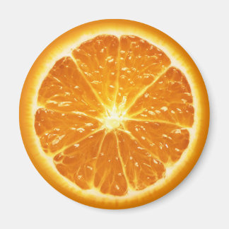 Fruktmagnetserien - Orange- Magnet