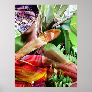 fruktodlingsmark poster