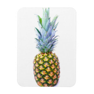 Fruktpersikor av ananas-saft, färglösa, tropiska magnet