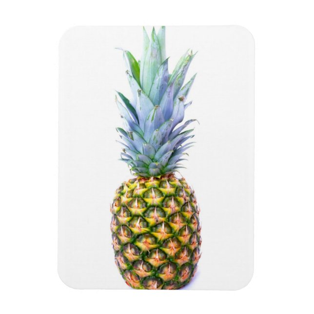 Fruktpersikor av ananas-saft, färglösa, tropiska magnet (Vertikal)