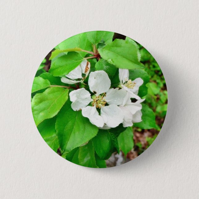 Fruktträdblomma Knapp (Framsida)