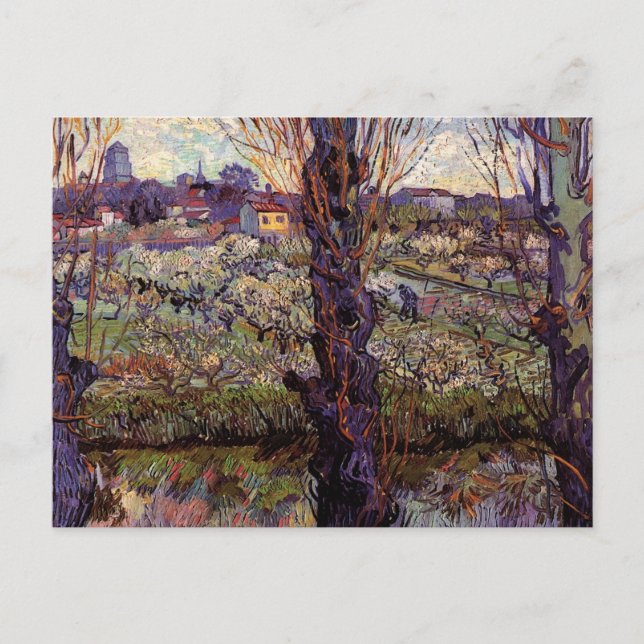 Fruktträdgård i blom, Arles av Vincent van Gogh Vykort (Framsida)