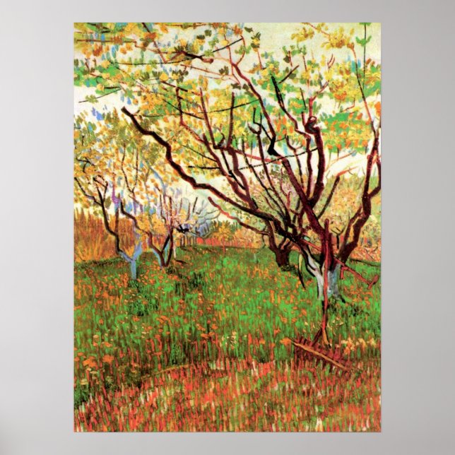 Fruktträdgård i blom by Vincent van Gogh Poster (Framsidan)