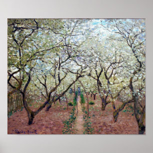 Fruktträdgård i blom, Claude Monet, 1879 Poster