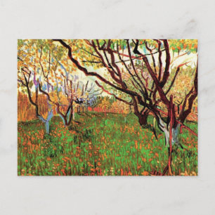Fruktträdgård i blom, Vincent van Gogh Vykort