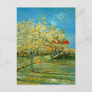 Fruktträdgård i blomning av Vincent van Gogh Vykort