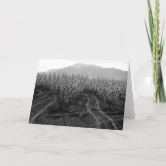 Fruktträdgårdar på att förbjuda höjder, Mt. San Kort