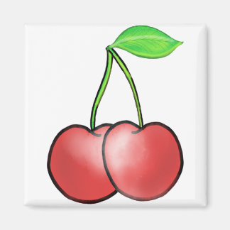 Fruktväxtbotanik Magnet
