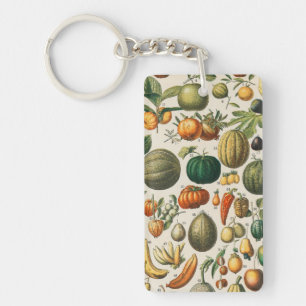 Fruktvegetativ botanisk vetenskaplig illustration