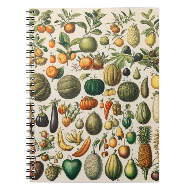 Fruktvegetativ botanisk vetenskaplig illustration anteckningsbok (Framsidan)
