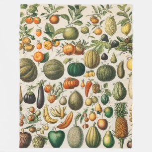 Fruktvegetativ botanisk vetenskaplig illustration fleecefilt