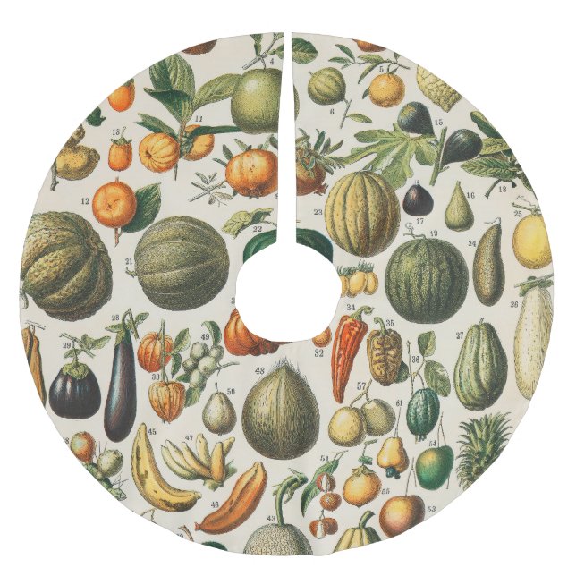 Fruktvegetativ botanisk vetenskaplig illustration julgransmatta borstad polyester (Framsidan)