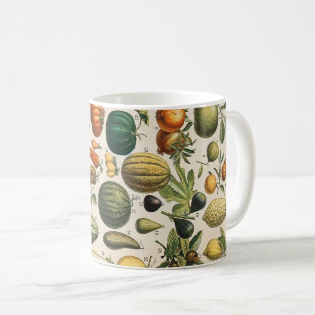 Fruktvegetativ botanisk vetenskaplig illustration kaffemugg (Framsida höger)