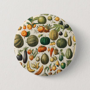 Fruktvegetativ botanisk vetenskaplig illustration knapp