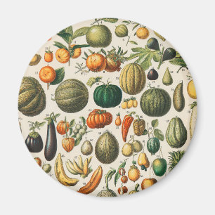 Fruktvegetativ botanisk vetenskaplig illustration magnet