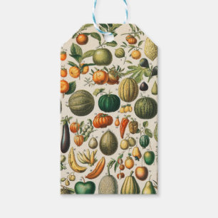 Fruktvegetativ botanisk vetenskaplig illustration presentetikett