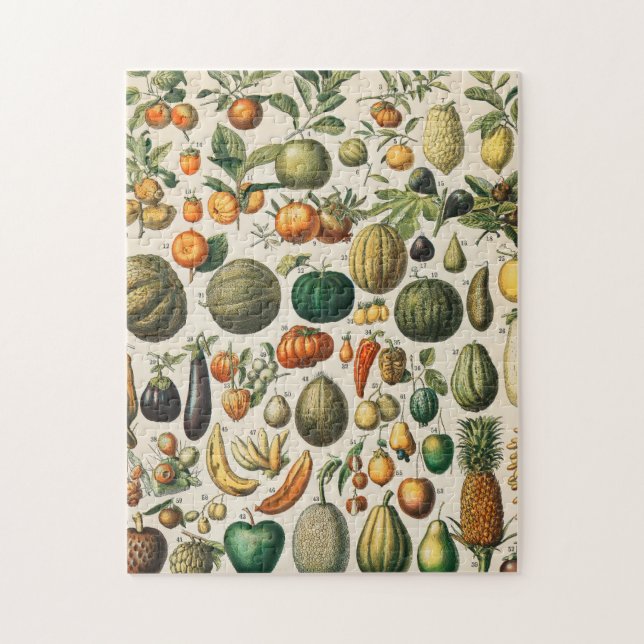 Fruktvegetativ botanisk vetenskaplig illustration pussel (Vertikal)