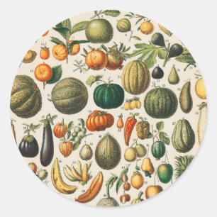 Fruktvegetativ botanisk vetenskaplig illustration runt klistermärke
