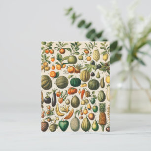 Fruktvegetativ botanisk vetenskaplig illustration vykort