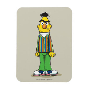 Frustrerade Bert Magnet