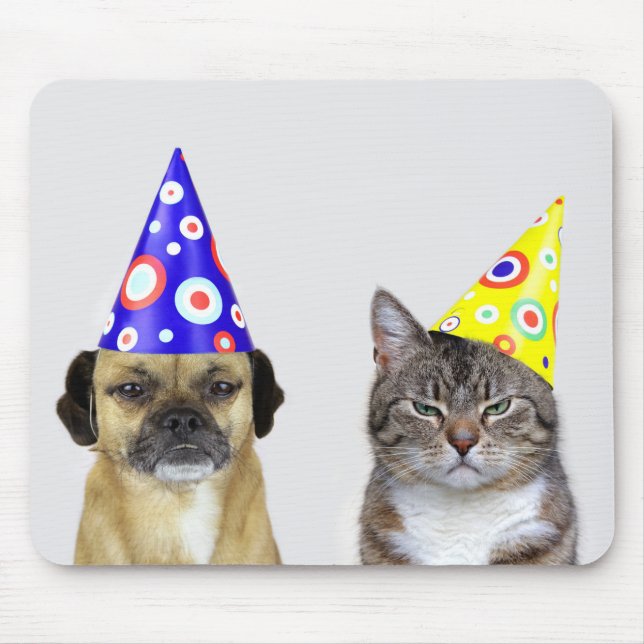 Frustrierter Hund und Katze mit Partyhütchen Musmatta (Framsidan)
