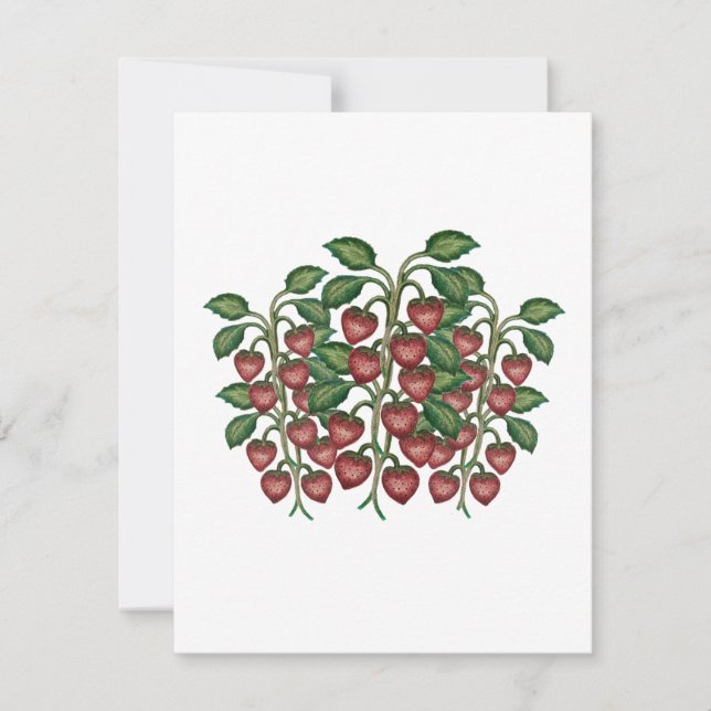 frutillas inbjudningar (Framsida)