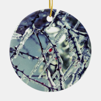Fryst berry Ornament