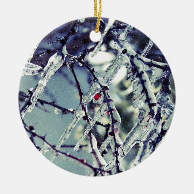 Fryst berry Ornament (Framsidan)