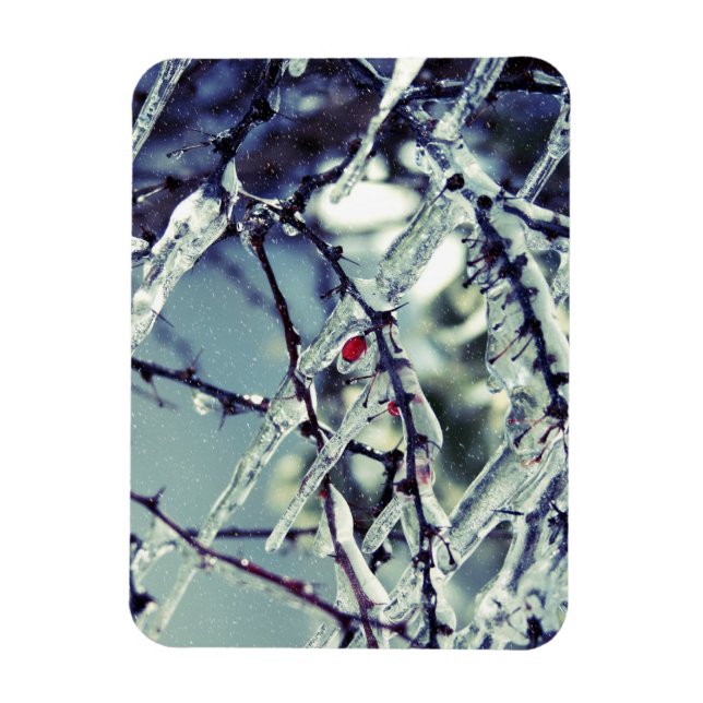 Fryst Berry Premium Magnet (Vertikal)